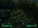 Fallout 3 Postapokaliptyczny fotograf, czyli najciekawsze SCREENY i scenki z VATS-a + pytania o questy - claudespeed18