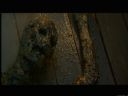 Filmo�ercy - jaki to film? :::kadr 381::: - rychu666
