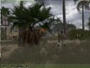 ArmA: Armed Assault [cz�� 41] - T_bone