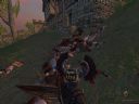 Mount & Blade - najlepszy symulator rycerza sredniowiecznego - fftc