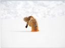 National Geographic BEST pictures for the year 2009 - Old Devil