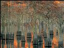 National Geographic BEST pictures for the year 2009 - Gmp3