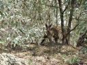 Podr�e ma�e i du�e. W�tek podr�niczo - wczasowy, cz. 4 - Aen