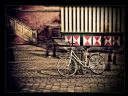 Aparaty cyfrowe: zdj�cia, jaki kupi�, porady : cz. 217 - smuggler