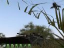 ArmA: Armed Assault [cz�� 61] "Wspomnie� czar" - T_bone