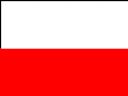 Czy wywiesiliscie dzisiaj flage Polski z okazji Narodowego Swieta? - wydolny_pawikonik