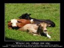 Kilka sw o szczepionkach - oglnie - Hajle Selasje