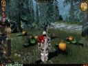 Dragon Age: Pocz�tek [3] - Przygoda Trwa. - Radzik
