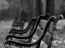 Aparaty cyfrowe: zdj�cia, jaki kupi�, porady : cz. 217 - MrPatience