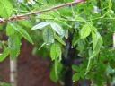 Aparaty cyfrowe: zdj�cia, jaki kupi�, porady : cz. 217 - malfix