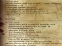 Dragon Age: Pocz�tek [3] - Przygoda Trwa. - Radzik