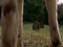Filmo�ercy - jaki to film? :::kadr 391::: - Enc0re
