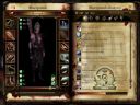 Dragon Age: Pocz�tek [4] - Czy Morrigan mo�e by� mi�a ? :) - Hellmaker
