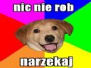 Biznes w Polsce? Nie, dzi�kuj�! :-/ - Fett