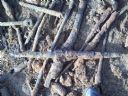 Zagadka archeologiczna dla mionikw militarii - Yari