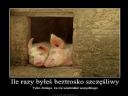 Czy wiesz, ile nie wiesz? - promyczek303