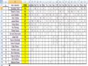 FORMU�A 1 - Grand Prix Abu Zabi - Saul Hudson