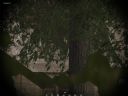 ArmA: Armed Assault [cz�� 78] "Spokojnie, to tylko gra" - T_bone