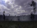 ArmA: Armed Assault [cz�� 78] "Spokojnie, to tylko gra" - T_bone