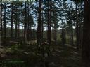 ArmA: Armed Assault [cz�� 42] - T_bone