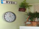 Bezsenno�� 378- brak pomys�u to te� pomys� - EwUnIa_kR