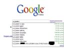 z serii Google Jokes - sprawd� czy jeste�...? - na za�
