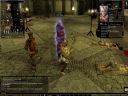 Problem z gr Neverwinter Nights - COBRA-COBRETTI