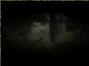 ArmA: Armed Assault [cz�� 43] - T_bone