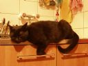 Bezsenno�� 384 - Mi�dzy �wi�tami a Sylwestrem - fire