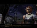 Dragon Age: Pocz�tek [5] Alistair: romantyk czy pozytywista? - LOBO_Art