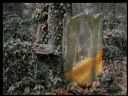 Aparaty cyfrowe: zdj�cia, jaki kupi�, porady : cz. 218 - ewelina_m