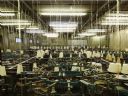 Last.fm - Profile GOLowicz�w - cz�� 4 - The Art of Scrobbling - Mk4o