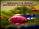 Jak Pocieszy� Dziewczyn�? cz. 176 - dudka-alkoholik - not-so-easy