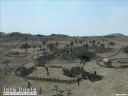 ArmA: Armed Assault [cz�� 63] "The worst is over!" - Tantalwz88