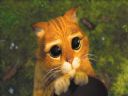W  zawod�wce od po�owy semestru? - toaster