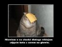 Imi� dla ma�ej kotki ;] - matik109