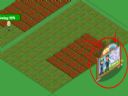 FarmVille-problem  - baso