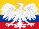 Pi�ka No�na cz.340 - Transfer completed. - tomazzi
