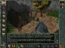 Sagi Baldur's Gate (BG I cz�� 198, BG II cz�� 181) i Icewind Dale (cz. 29) - Aurelinus