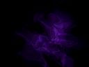Zabawa:Avatary [25] - palpe