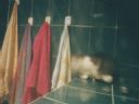 Aparaty cyfrowe: zdj�cia, jaki kupi�, porady : cz. 205 - Kacper_M