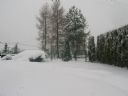 Ddw Cwtwwszdnk. I pozdrowi� wszystkich! (811) - 191 - Pl@ski