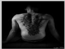 The Tattoo - Become Art: Ukucie 1 - Sayyadina Av'Lee