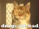 drugs are bad - req_