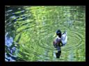 Aparaty cyfrowe: zdj�cia, jaki kupi�, porady : cz. 206 - ResOOrt