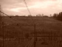 Aparaty cyfrowe: zdj�cia, jaki kupi�, porady : cz. 206 - Punk z Woodstocku