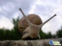 Palcy - czy wiecie e... - lepper_pl