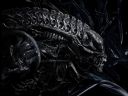 Uniwersum Aliens versus Predator || Polowanie #3 - .:Jj:.