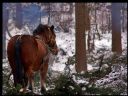 Aparaty cyfrowe: zdj�cia, jaki kupi�, porady : cz. 219 - yasiu
