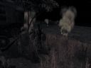 ArmA: Armed Assault [cz�� 66] "Happy birthday You avatard!" - Mateck